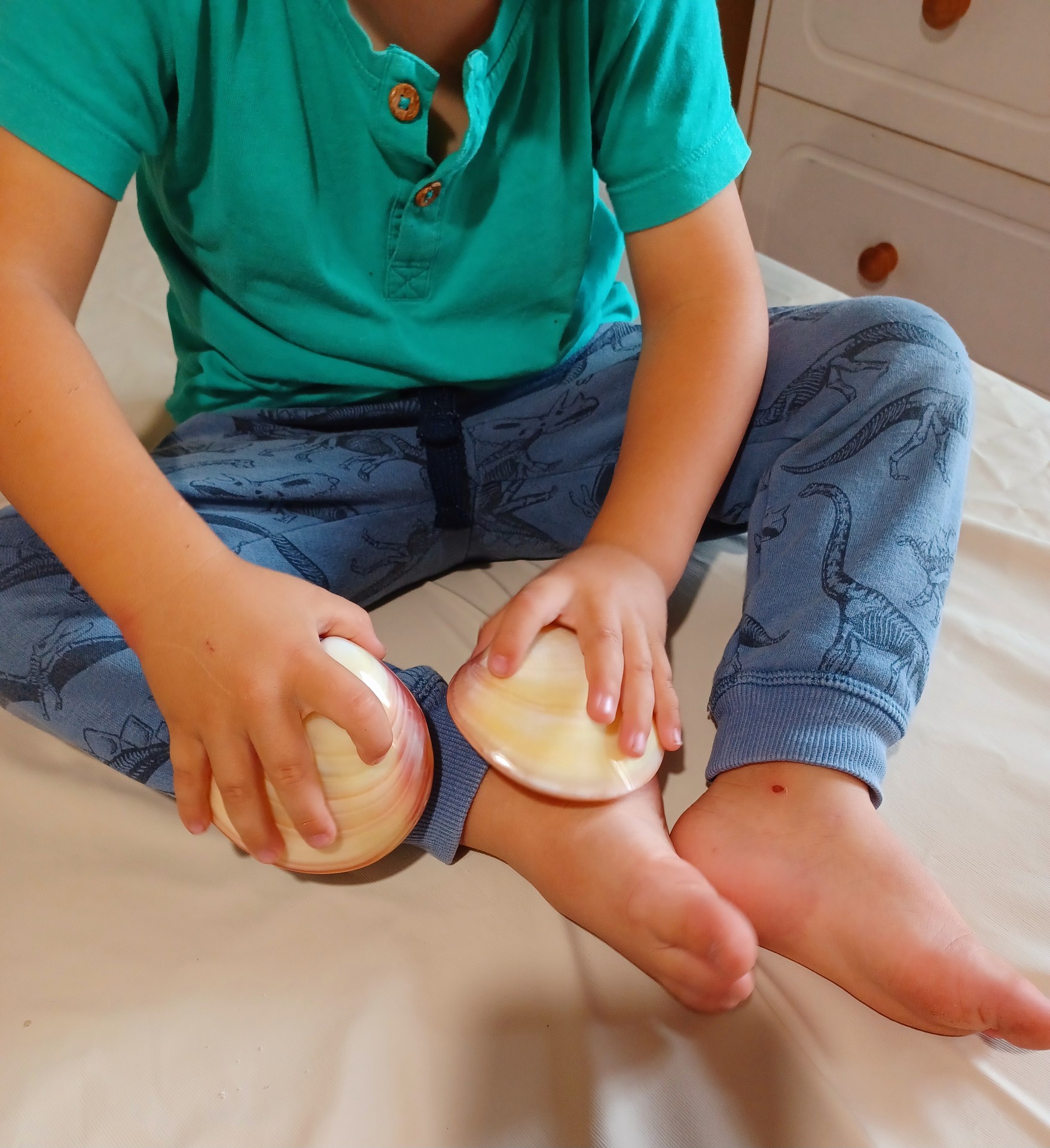 massages bien etre coquillages chauds 85